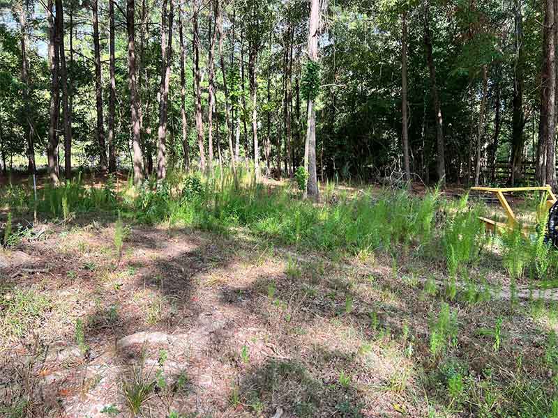 Madisonville Land Clearing Madisonville Land Clearing